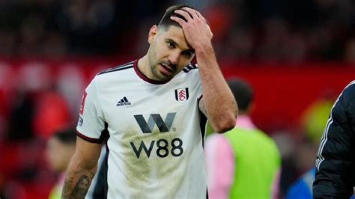 Aleksandar Mitrović Net Worth & Salary