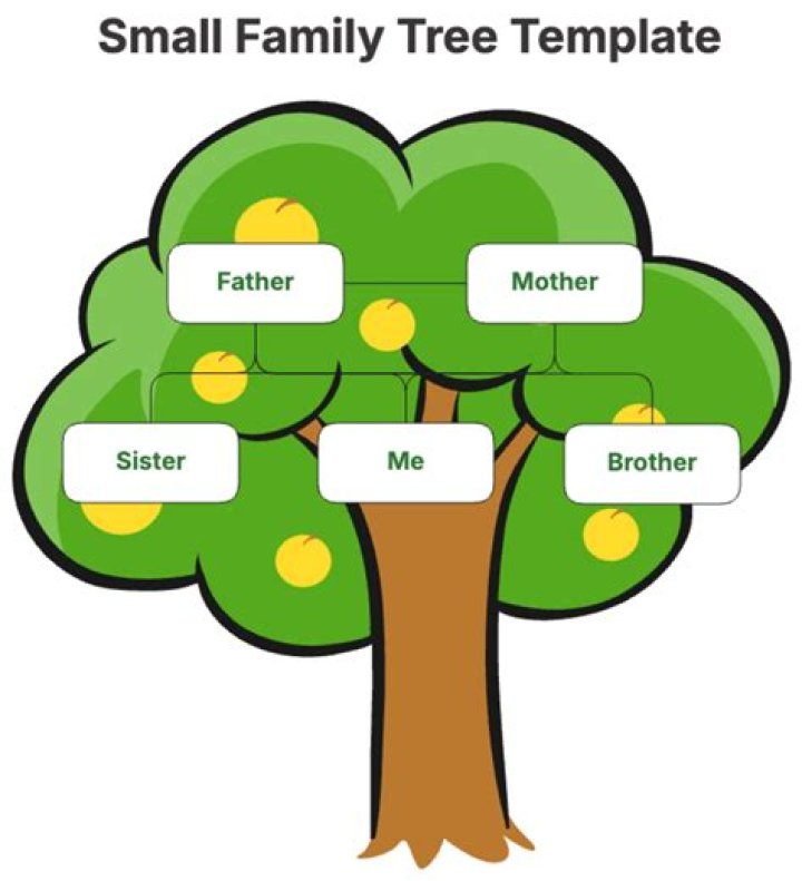 Is Jared Butler Related To Jimmy Butler? Are They Brother- Family Tree