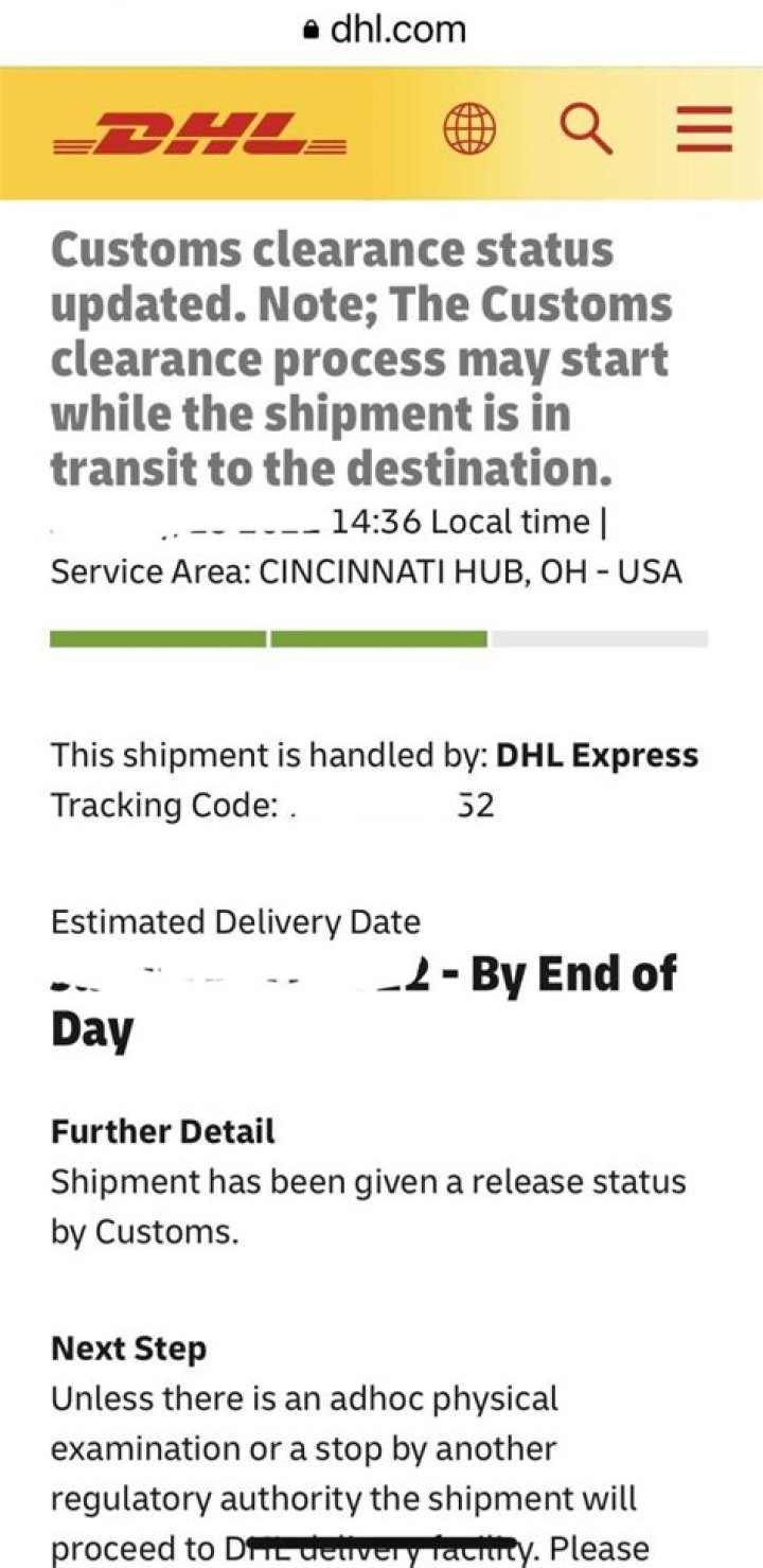 What does clearance delay mean dhl